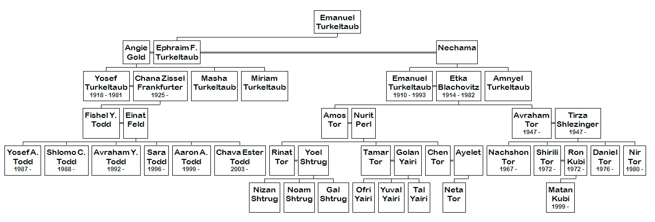 Third Turkeltaub Radzyn Tree