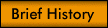 briefhys.gif (1233 bytes)
